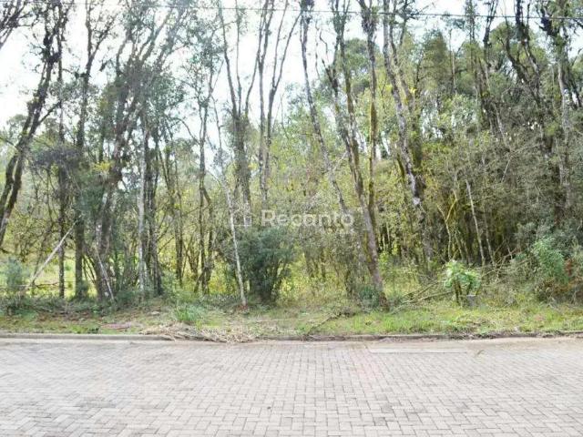Terreno / Lote para Venda em Gramado/RS Vivendas do Arvoredo
