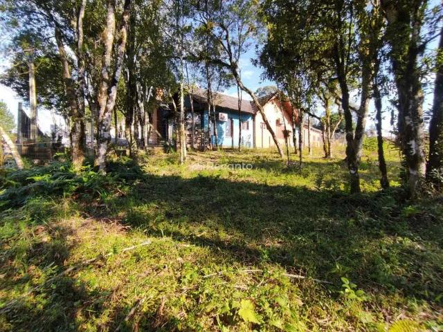 Terreno / Lote para Venda em Gramado/RS Vivendas do Arvoredo