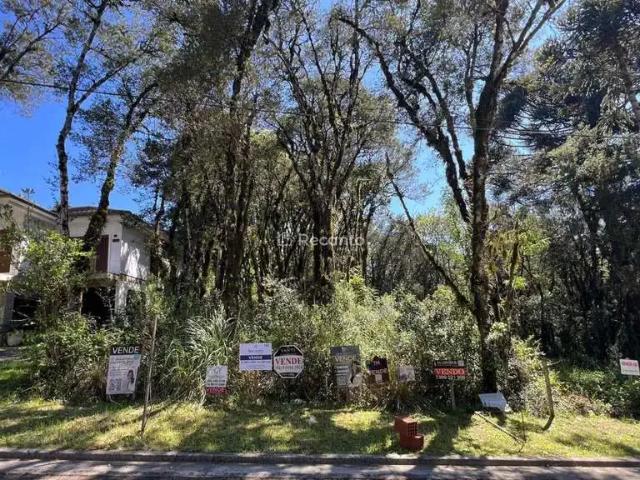 Terreno / Lote para Venda em Gramado/RS Vivendas do Arvoredo