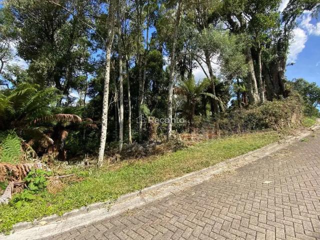 Terreno / Lote para Venda em Gramado/RS Vivendas do Arvoredo