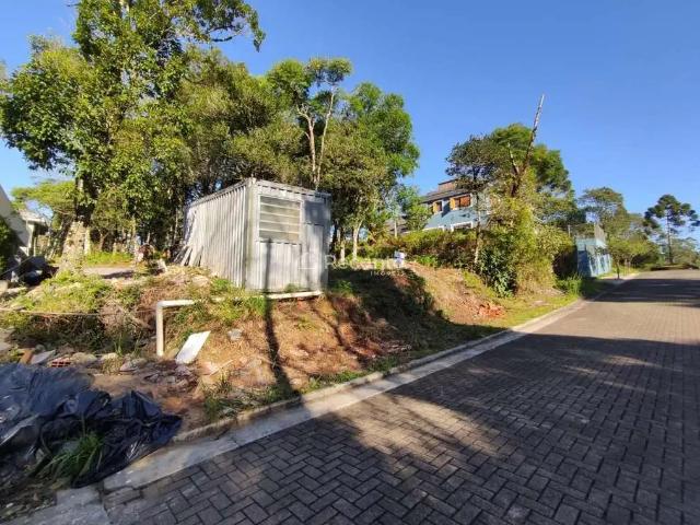 Terreno / Lote para Venda em Gramado/RS Vivendas do Arvoredo