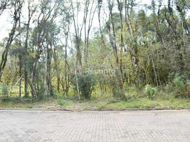 Terreno / Lote para Venda em Gramado/RS Vivendas do Arvoredo