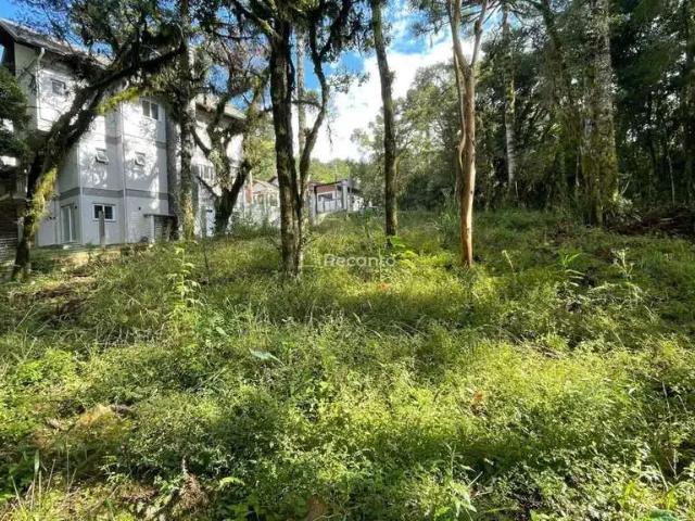 Terreno / Lote para Venda em Gramado/RS Vivendas do Arvoredo