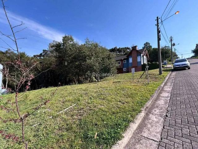 Terreno / Lote para Venda em Gramado/RS Vivendas do Arvoredo