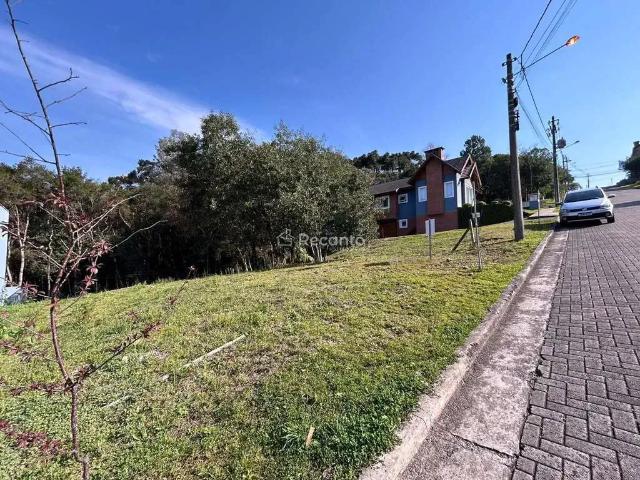 Terreno / Lote para Venda em Gramado/RS Vivendas do Arvoredo