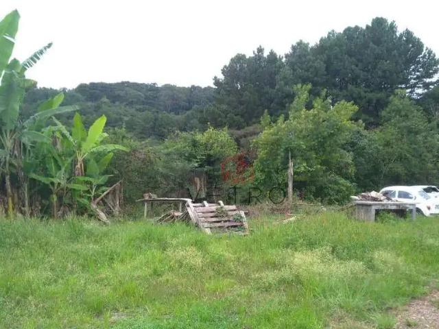 Terreno / Lote para Venda em Gramado/RS Vila Jardim