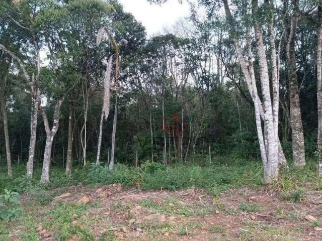 Terreno / Lote para Venda em Gramado/RS Vila Jardim