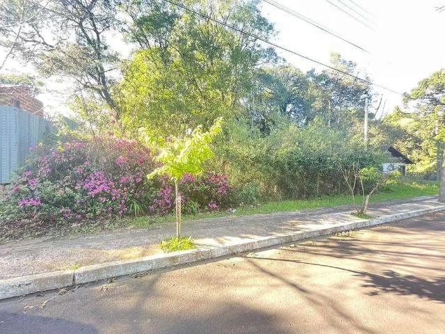Terreno / Lote para Venda em Gramado/RS Vila Suiça