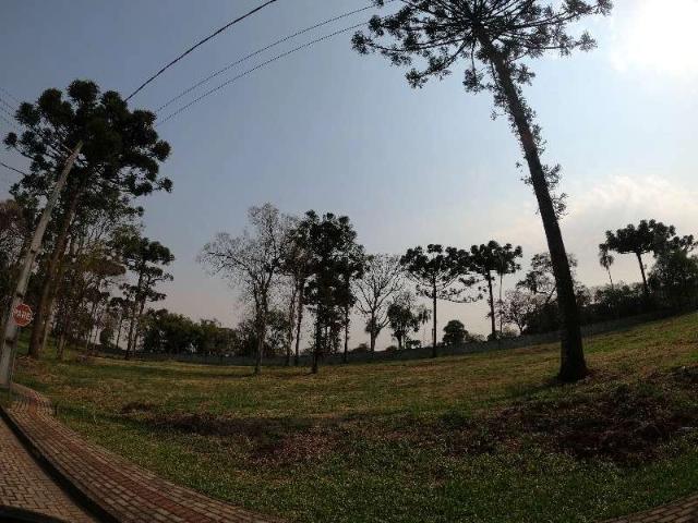 Terreno / Lote para Venda em Guatambú/SC Interior