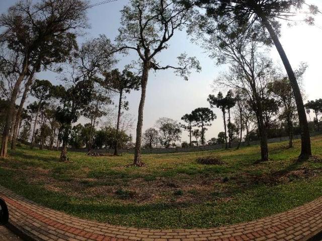 Terreno / Lote para Venda em Guatambú/SC Interior