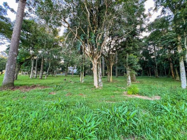 Terreno / Lote para Venda em Guatambú/SC Interior