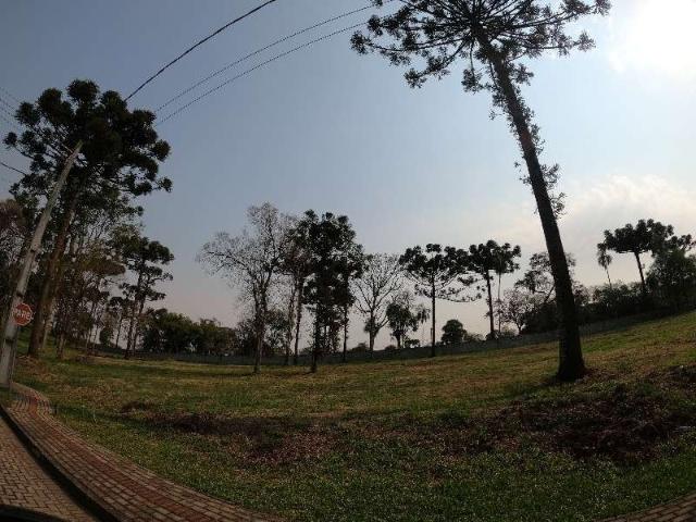 Terreno / Lote para Venda em Guatambú/SC Interior
