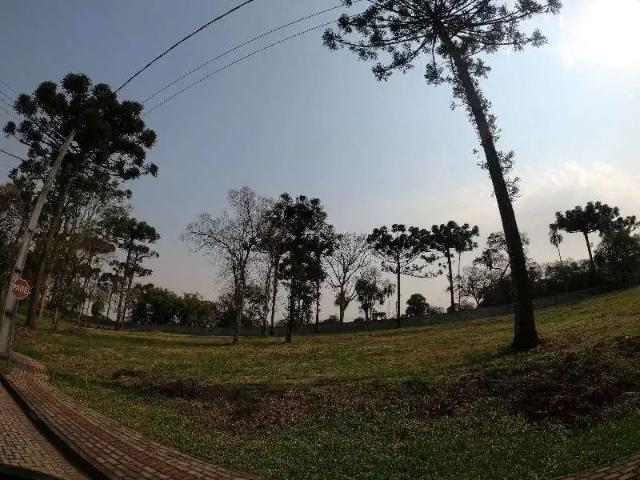 Terreno / Lote para Venda em Guatambú/SC Interior