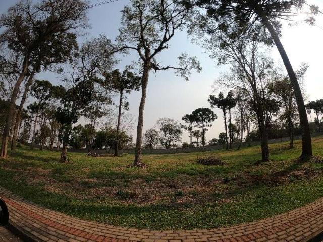 Terreno / Lote para Venda em Guatambú/SC Interior