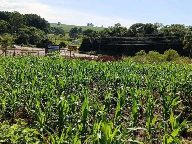 Terreno / Lote para Venda em Guatambú/SC Jardins Mezomo