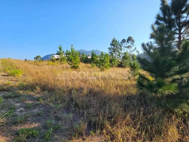 Terreno / Lote para Venda em Guabiruba/SC Aimoré