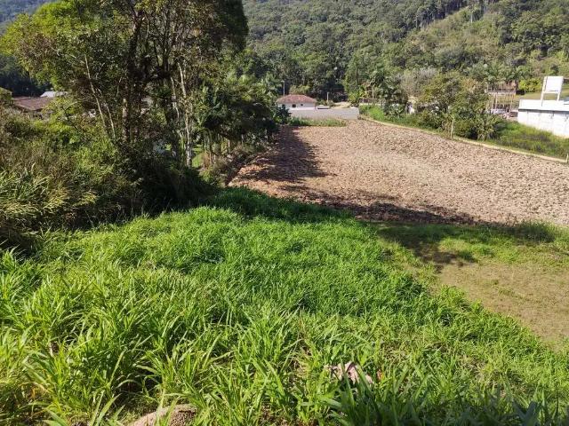 Terreno / Lote para Venda em Guabiruba/SC Alsacia