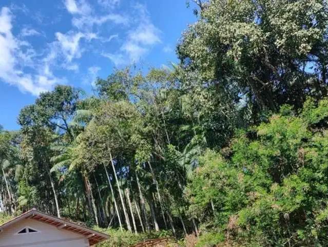Terreno / Lote para Venda em Guabiruba/SC Aymoré