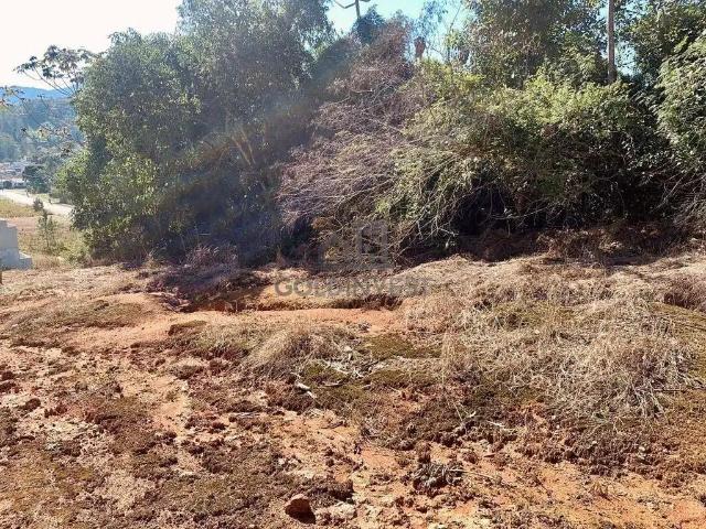 Terreno / Lote para Venda em Guabiruba/SC Aymoré