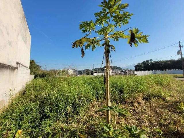 Terreno / Lote para Venda em Guabiruba/SC Centro