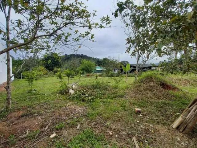 Terreno / Lote para Venda em Guabiruba/SC Centro