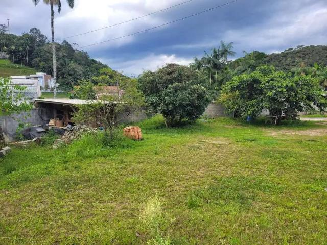 Terreno / Lote para Venda em Guabiruba/SC Centro