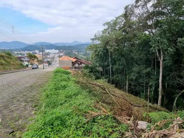 Terreno / Lote para Venda em Guabiruba/SC Centro