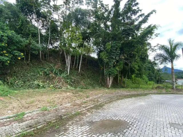 Terreno / Lote para Venda em Guabiruba/SC Centro