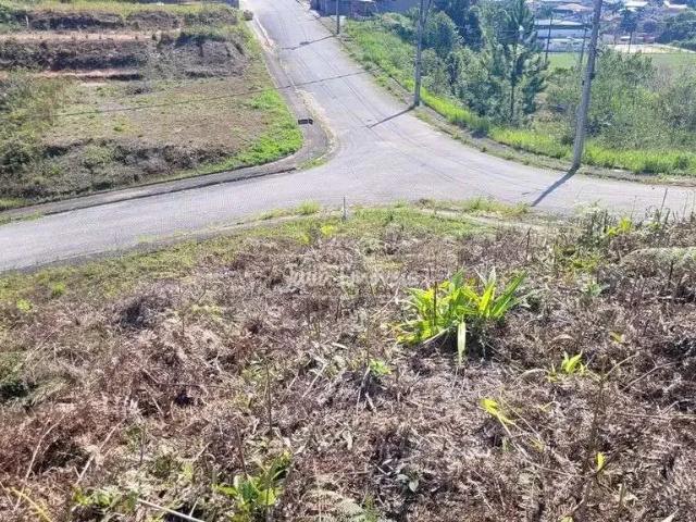 Terreno / Lote para Venda em Guabiruba/SC Centro