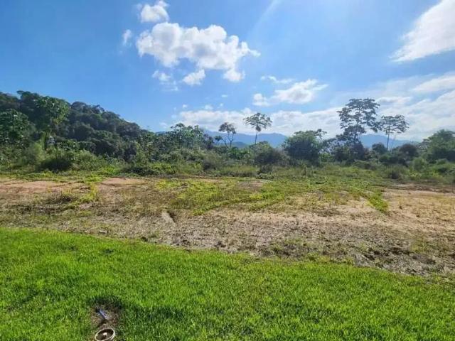 Terreno / Lote para Venda em Guabiruba/SC Centro