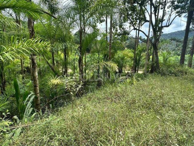 Terreno / Lote para Venda em Guabiruba/SC Guabiruba Sul