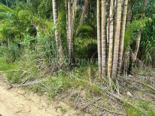 Terreno / Lote para Venda em Guabiruba/SC Guabiruba Sul