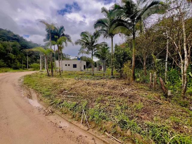 Terreno / Lote para Venda em Guabiruba/SC Guabiruba Sul