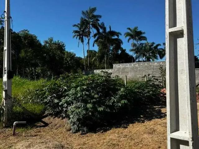 Terreno / Lote para Venda em Guabiruba/SC Guabiruba Sul