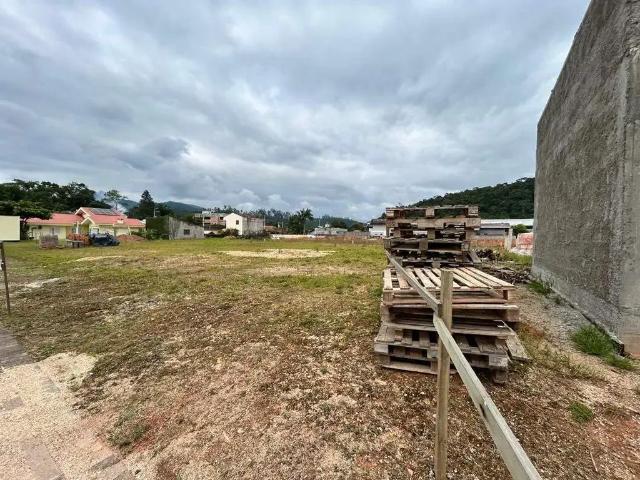 Terreno / Lote para Venda em Guabiruba/SC Guabiruba Sul