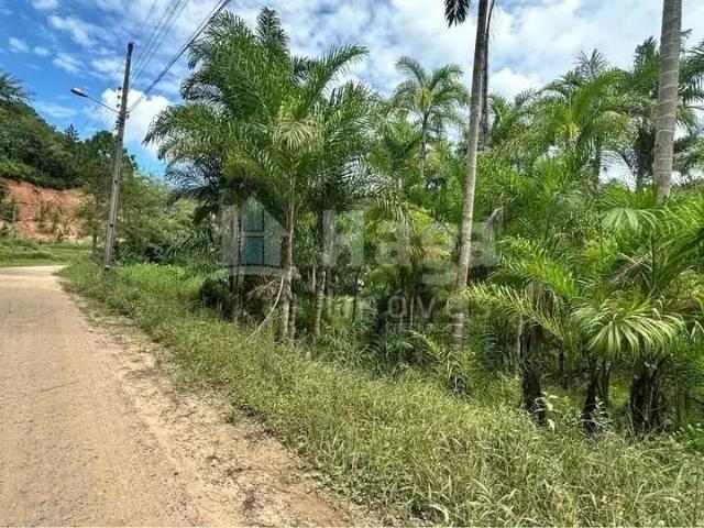 Terreno / Lote para Venda em Guabiruba/SC Guabiruba Sul