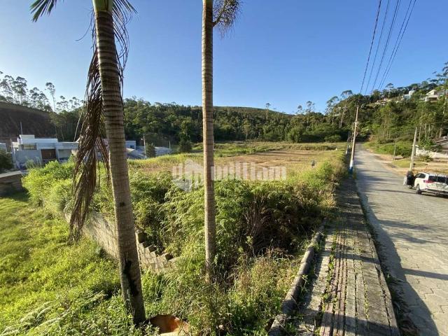Terreno / Lote para Venda em Guabiruba/SC Guabiruba Sul