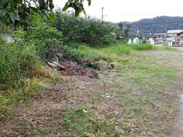 Terreno / Lote para Venda em Guabiruba/SC Guabiruba Sul