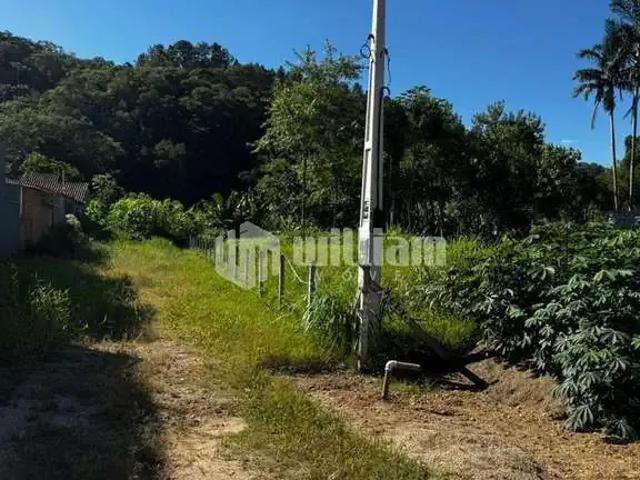 Terreno / Lote para Venda em Guabiruba/SC Guabiruba Sul