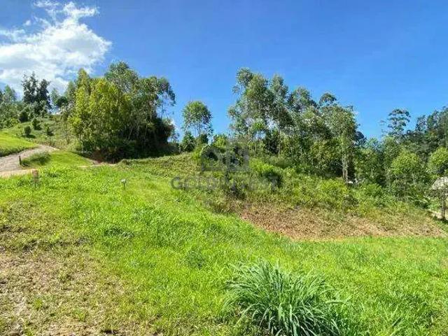 Terreno / Lote para Venda em Guabiruba/SC Lageado Alto