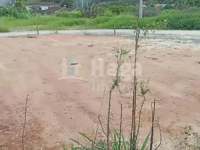 Terreno / Lote para Venda em Guabiruba/SC Lageado Baixo