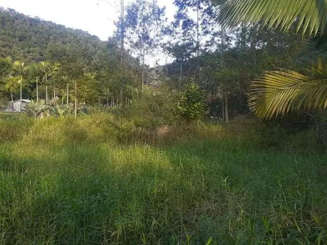 Terreno / Lote para Venda em Guabiruba/SC Planície Alta