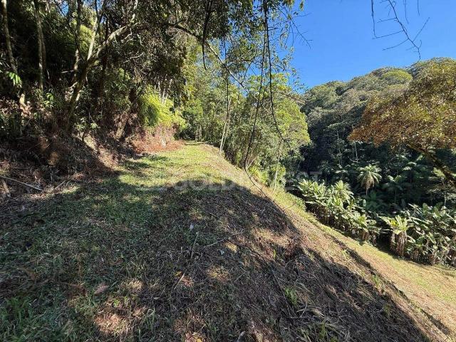 Terreno / Lote para Venda em Guabiruba/SC Planície Alta