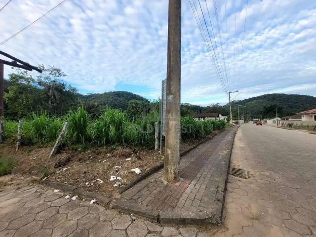 Terreno / Lote para Venda em Guabiruba/SC Planície Alta