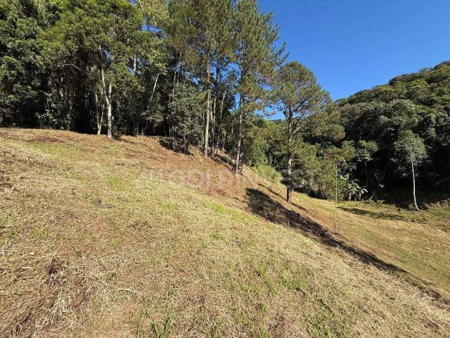 Terreno / Lote para Venda em Guabiruba/SC Planície Alta