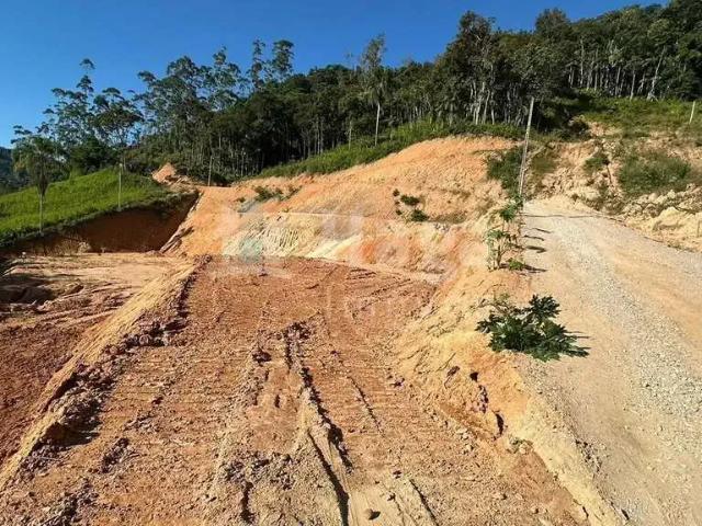 Terreno / Lote para Venda em Guabiruba/SC São Pedro