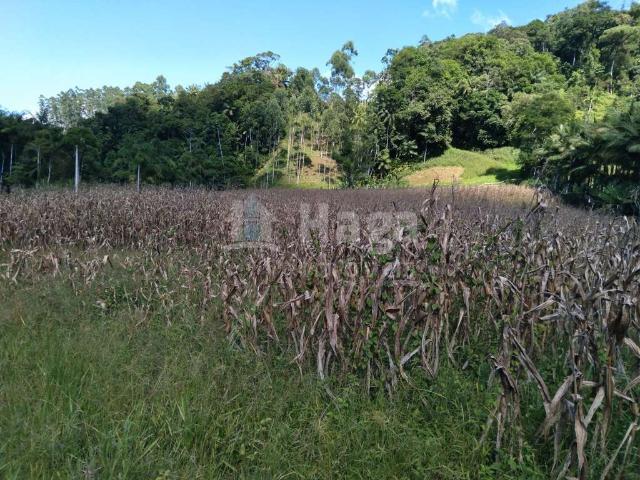 Terreno / Lote para Venda em Guabiruba/SC São Pedro