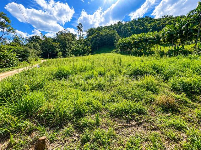 Terreno / Lote para Venda em Guabiruba/SC São Pedro
