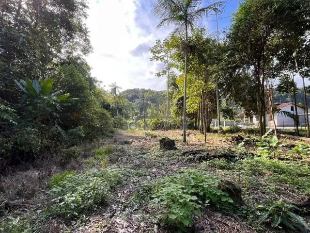 Terreno / Lote para Venda em Guabiruba/SC São Pedro