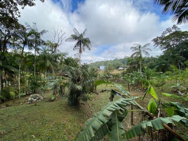 Terreno / Lote para Venda em Guabiruba/SC São Pedro